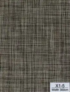 X1-5-228x300