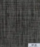 X1-6-2-228x300