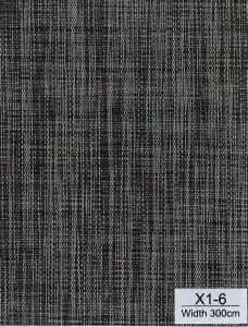 X1 6 2 228x300 1