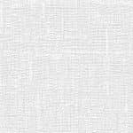 Giấy Dán Tường FIESTA FE1603-1