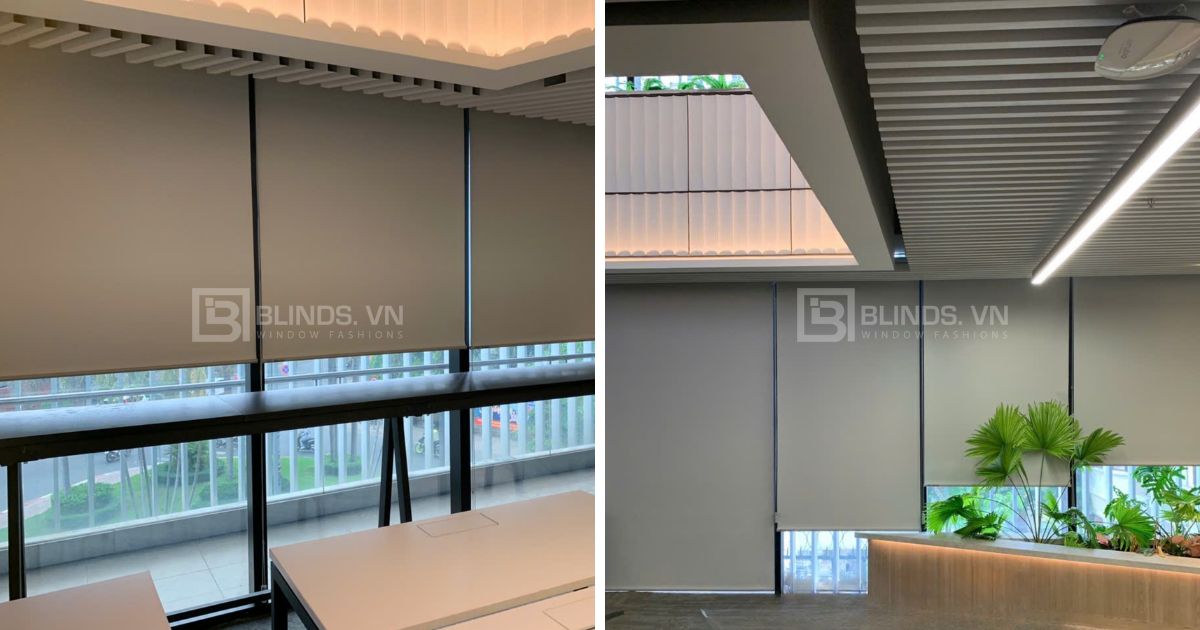 rem cua phuong long phuoc 8